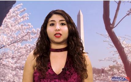 Tips de Viaje: ¿Qué hacer si te detienen por una infracción de tránsito en Estados Unidos?