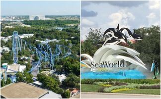 Así será la nueva montaña rusa de surf que abrirá SeaWorld Orlando 