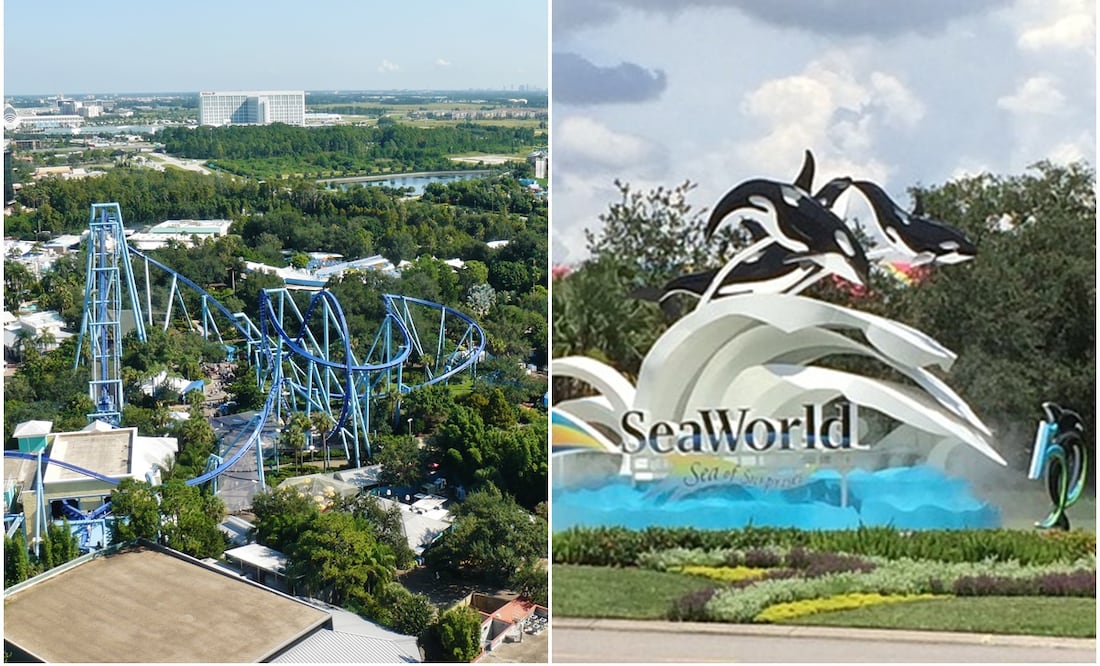 Wikimedia Commons / Pixabay