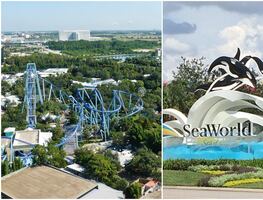 Así será la nueva montaña rusa de surf que abrirá SeaWorld Orlando