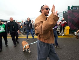 Hamilton anuncia la muerte de Roscoe, el bulldog estrella con 1.4M de seguidores: "Dormirlo fue una de las experiencias más dolorosas"