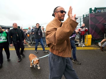 Hamilton anuncia la muerte de Roscoe, el bulldog estrella con 1.4M de seguidores: "Dormirlo fue una de las experiencias más dolorosas"