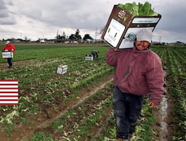 Principales trabajos temporales en Estados Unidos (sin universidad)