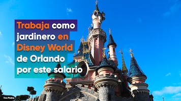 Trabajo en Disney World: ofrecen salario de $310 por hora a jardineros con experiencia