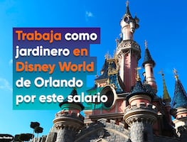 Trabajo en Disney World: ofrecen salario de $310 por hora a jardineros con experiencia