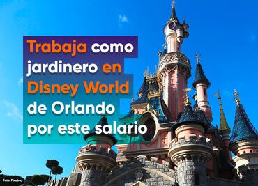 Trabajo en Disney World: ofrecen salario de $310 por hora a jardineros con experiencia