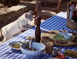 Alimentos que no deben comer los gatos, según los especialistas