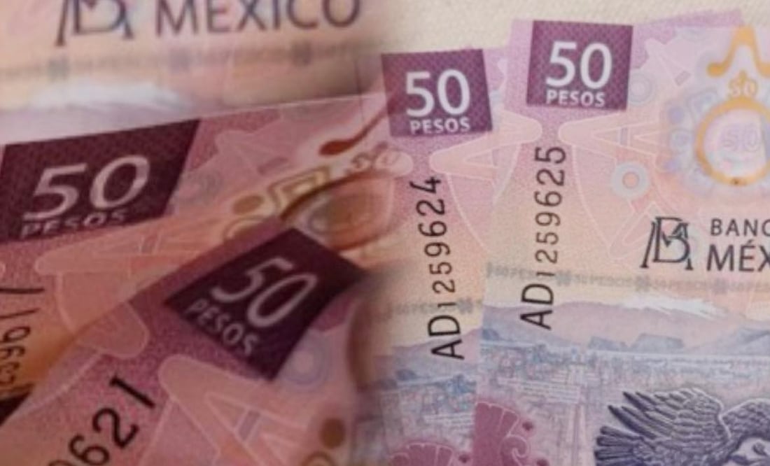 La colección de billetes del ajolote que vale casi $10 millones de pesos. Foto: iSTOCK-FJZEA
