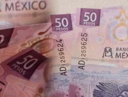 La colección de billetes del ajolote que vale casi $10 millones de pesos