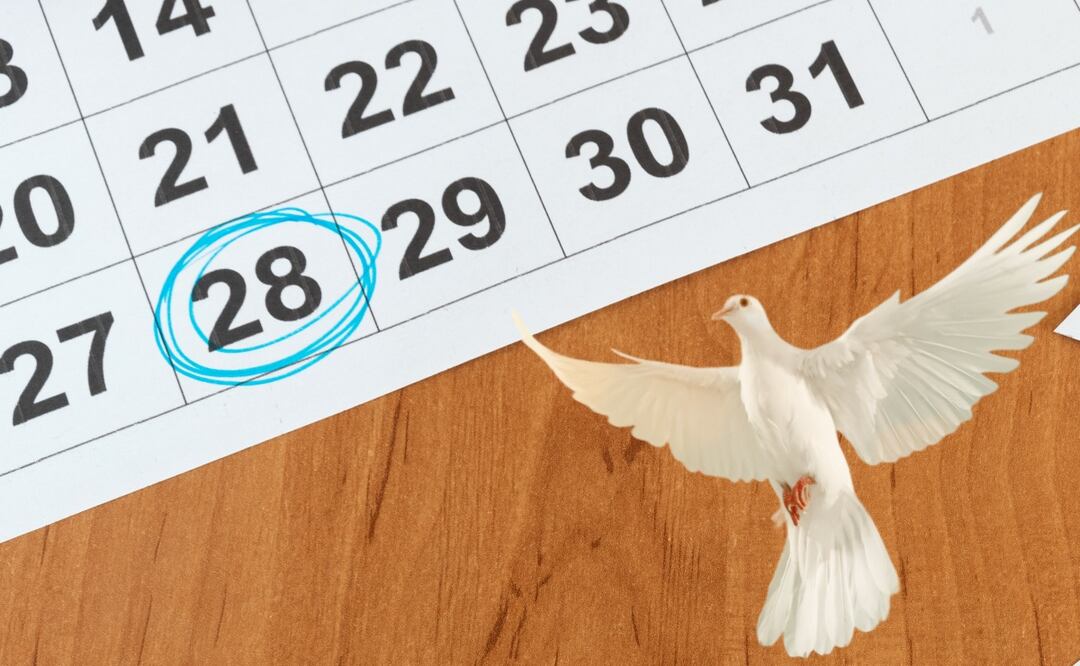 Al terminar una broma el 28 de diciembre, se acostumbra decir la frase: “Inocente palomita que te dejaste engañar”. Foto: iStock