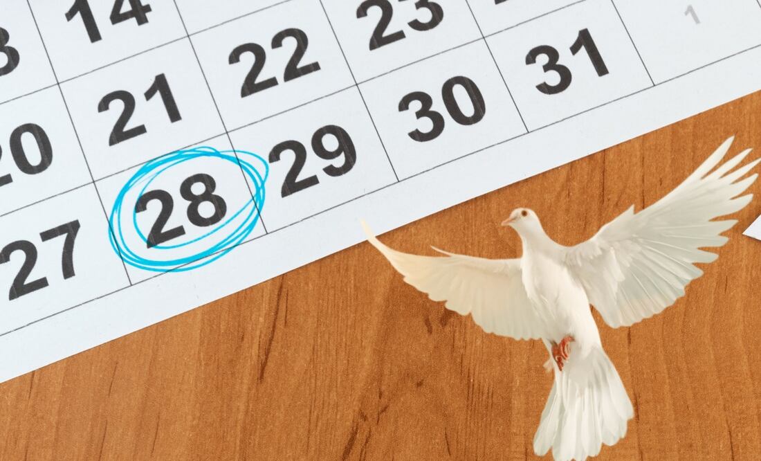 Al terminar una broma el 28 de diciembre, se acostumbra decir la frase: “Inocente palomita que te dejaste engañar”. Foto: iStock