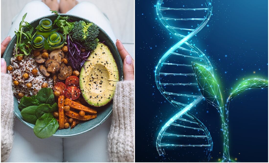 El vegetarianismo podría estar “escrito” en los genes, dice estudio. Foto: iSTOCK-Alena Butusava-Daria Kulkova