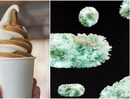 Cofepris alerta por helados estadounidenses con listeria que fueron distribuidos en México