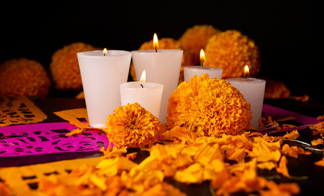 Cempasúchil: El Alma de los Altares en el Día de Muertos Mexicano". Foto iStock / hayaship