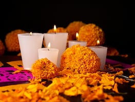 Cempasúchil: El alma de los altares en el Día de Muertos en México