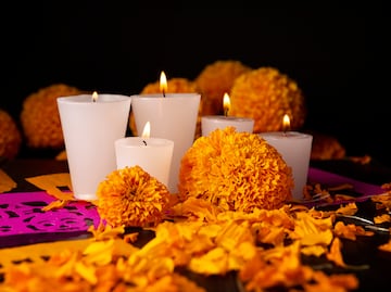 Cempasúchil: El alma de los altares en el Día de Muertos en México