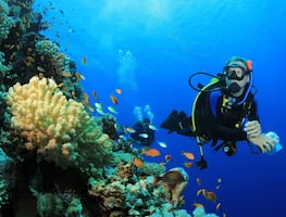 Qué hacer en Hawái: atracciones que no te puedes perder