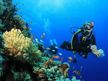 Qué hacer en Hawái: atracciones que no te puedes perder