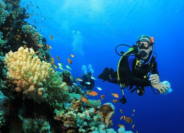 Qué hacer en Hawái: atracciones que no te puedes perder