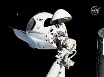 EU estudiará el envejecimiento humano en el espacio