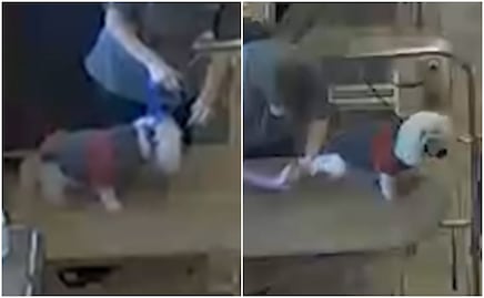 Peluquería de perros es demandada por dejar morir de asfixia a poodle 