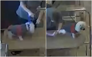 Peluquería de perros es demandada por dejar morir de asfixia a poodle