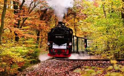 Ofrecen 50% de descuento en viajes en tren por Estados Unidos