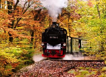 Ofrecen 50% de descuento en viajes en tren por Estados Unidos