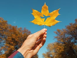 Inicia el otoño y ¿los vuelos baratos? Viajar será más económico, según Hopper