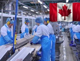 Trabajo en Canadá: pagan $80,000 a obreros mexicanos por procesar mariscos