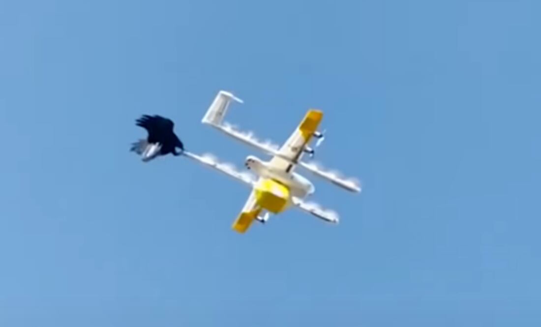 Foto: captura de pantalla