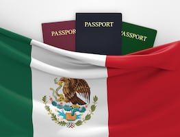 Los tres colores del pasaporte mexicano y su significado: ¿Por qué hay verde, gris y negro?