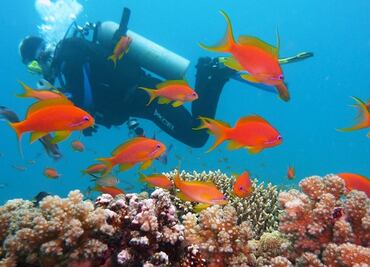 Ciudad de Florida prohíbe protector solar que daña arrecifes