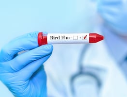 OMS pide estar alerta tras la primera muerte por gripe aviar aunque el riesgo es bajo
