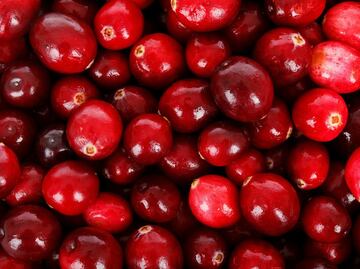 Beneficios de comer arándanos: alimento superantioxidante que mejora la memoria