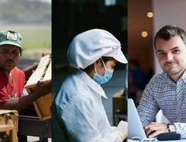 30 de las profesiones y oficios con más trabajo para inmigrantes en Estados Unidos