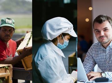 30 de las profesiones y oficios con más trabajo para inmigrantes en Estados Unidos