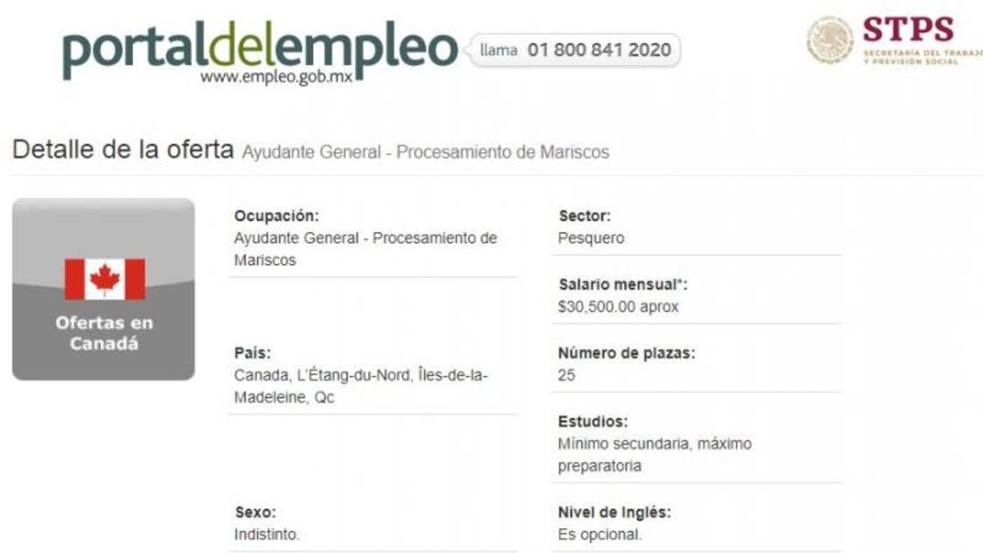 Trabajo en Canadá. Solicitan mexicanos para procesamiento de mariscos