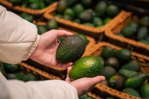 Tequila, mezcal y aguacate, entre los productos que subirán de precio en EU por los aranceles de Trump a México, Canadá y China