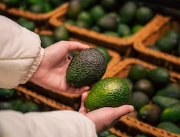 Tequila, mezcal y aguacate, entre los productos que subirán de precio en EU por los aranceles de Trump a México, Canadá y China