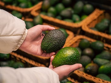 Tequila, mezcal y aguacate, entre los productos que subirán de precio en EU por los aranceles de Trump a México, Canadá y China