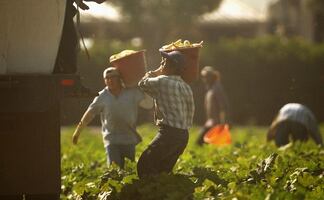 "Esclavitud moderna": Usaron programa de visas para explotar a trabajadores en EU