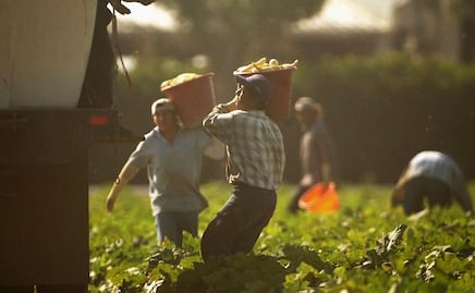 "Esclavitud moderna": Usaron programa de visas para explotar a trabajadores en EU