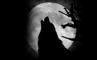 Luna llena de Lobo, la primera Luna del 2024 que no te puedes perder. ¿Cuándo y cómo verla?