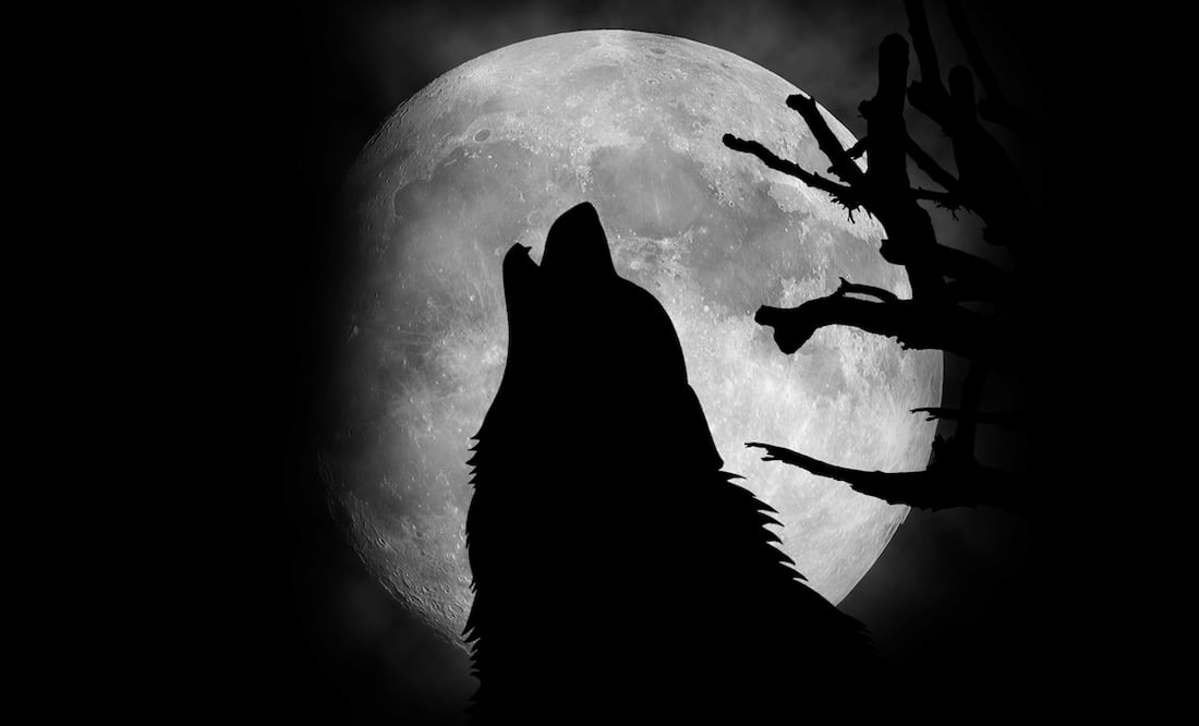 Luna llena de Lobo, la primera luna del 2024 que no te puedes perder. ¿Cuándo y cómo verla? Foto: Stock-Thinnapat