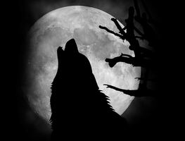 Luna llena del Lobo, súper alineación planetaria y otros eventos astronómicos imperdibles de enero