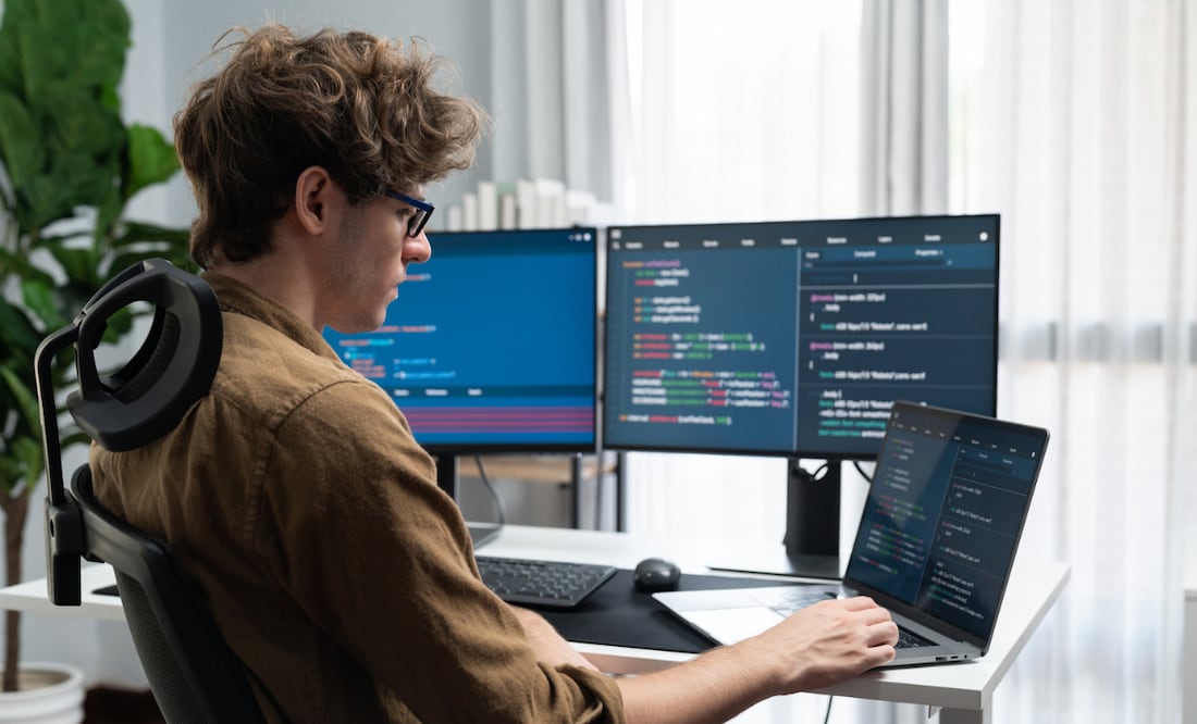 Universidad de Harvard lanza curso de programación gratis y en línea. ¿Cuáles son los requisitos? iStock/NanoStockk