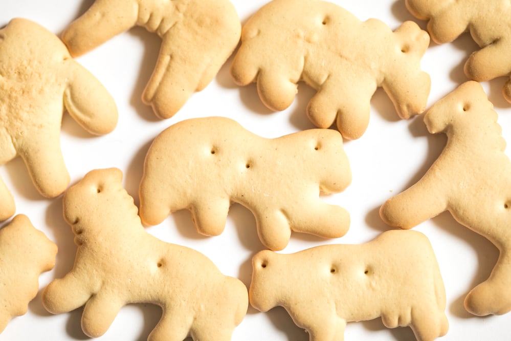 ¿Cuáles son mejores? Profeco analizó marcas de galletas de animalito y esto encontró. iStock/Garrett Aitken
