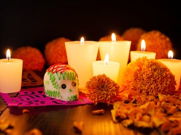 Día de Muertos y ofrenda para mascotas este 27 de octubre: ¿Qué poner en su altar?