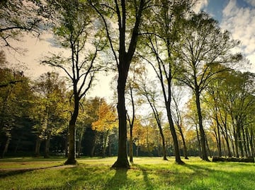Las ciudades con los mejores parques de EU, más allá de Nueva York